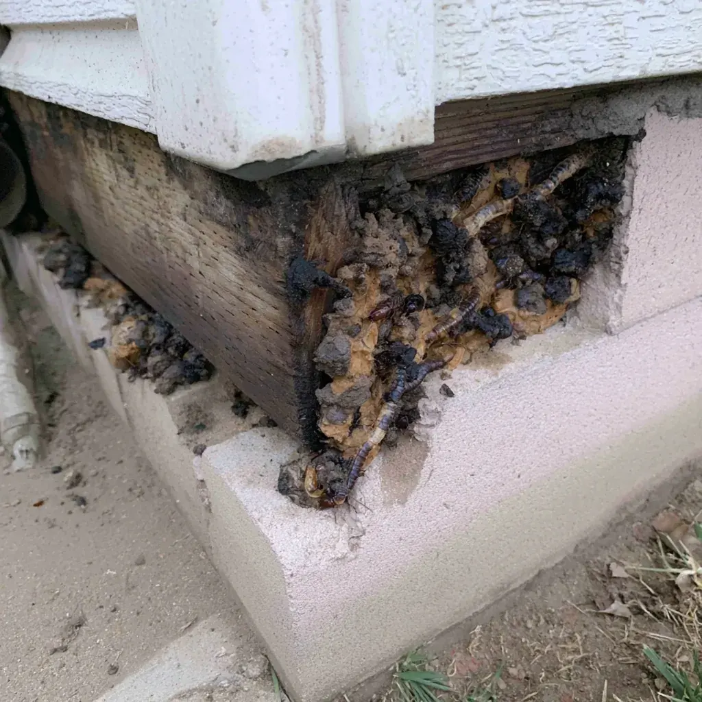 Common problems in Frederick, MD