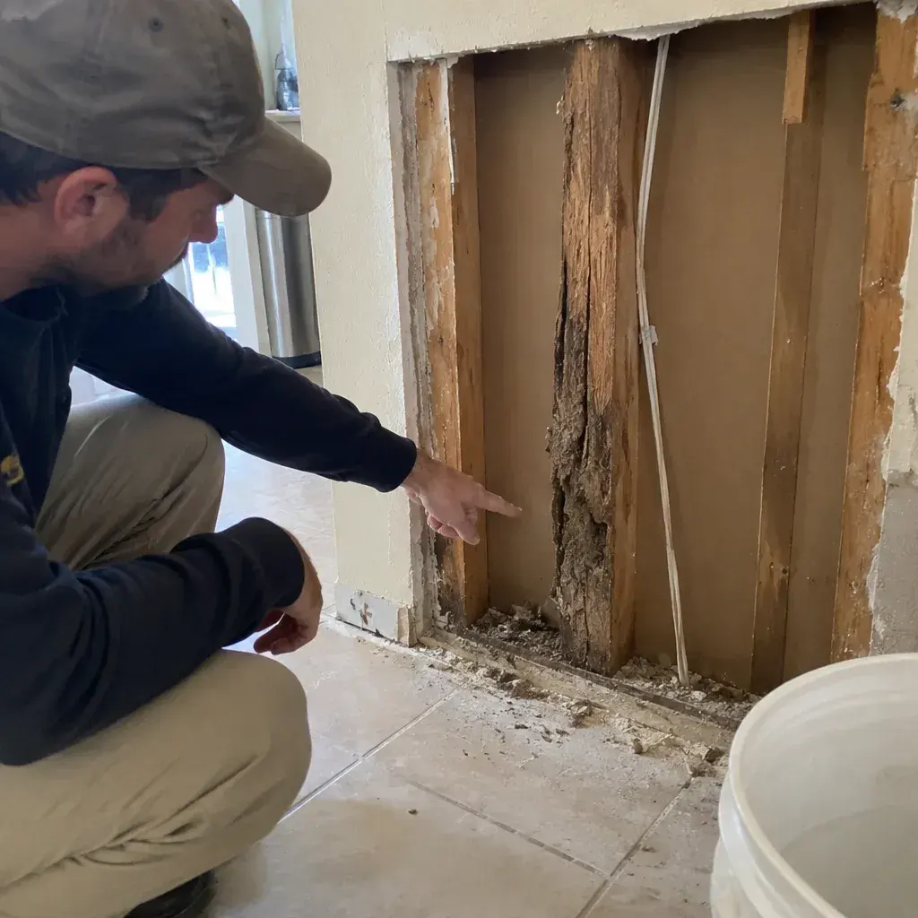 Termite Inspection service in Frederick, MD